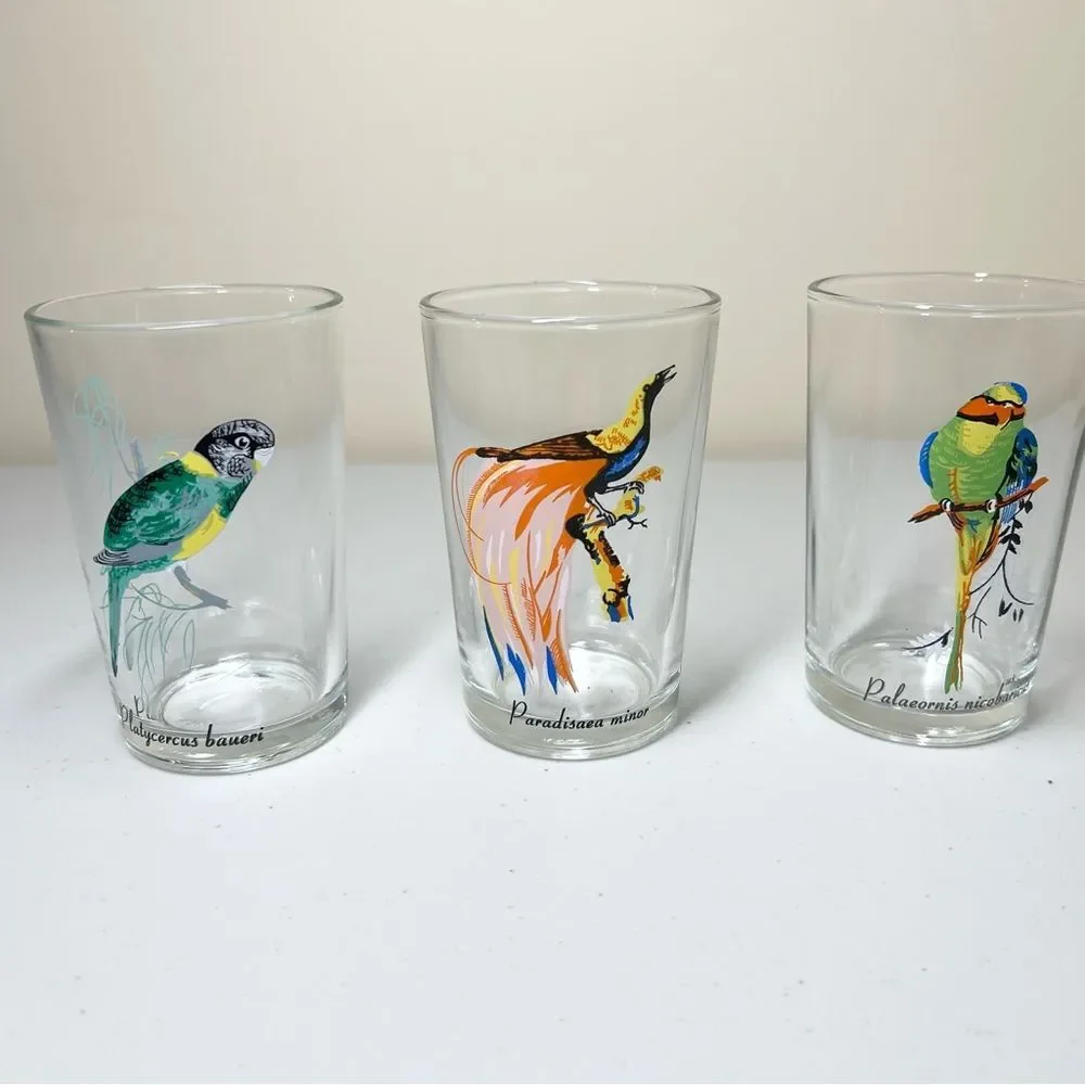 VTG 60’s Kig Malaysia Exotic Tropical Bird Glasses Set of 6